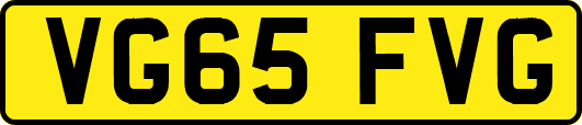 VG65FVG