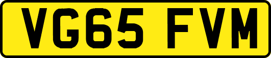 VG65FVM