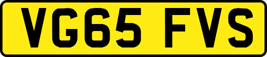 VG65FVS