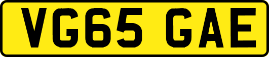 VG65GAE