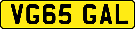 VG65GAL