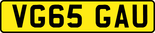 VG65GAU