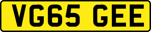 VG65GEE