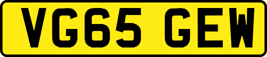 VG65GEW
