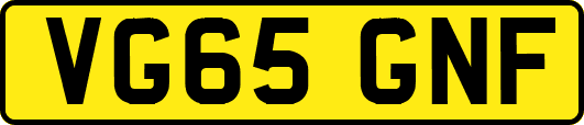 VG65GNF