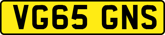 VG65GNS