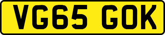 VG65GOK