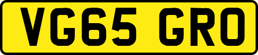 VG65GRO