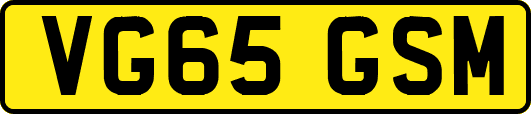 VG65GSM
