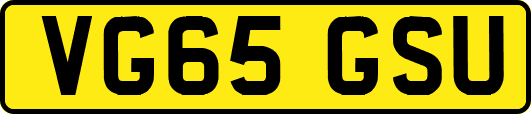 VG65GSU