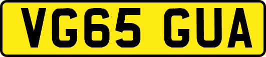 VG65GUA
