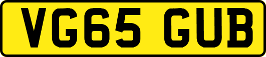 VG65GUB