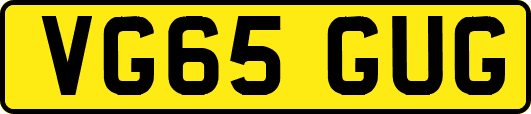 VG65GUG