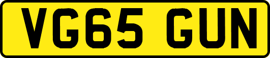 VG65GUN