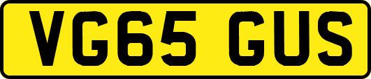 VG65GUS