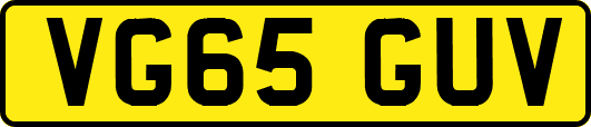 VG65GUV
