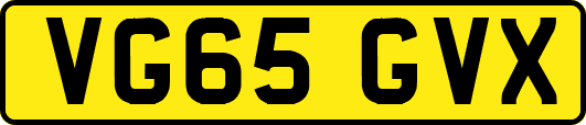 VG65GVX
