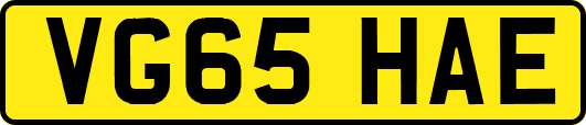 VG65HAE