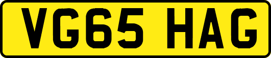 VG65HAG