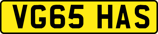 VG65HAS