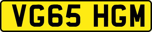 VG65HGM