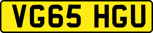 VG65HGU