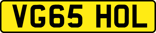 VG65HOL
