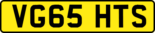 VG65HTS