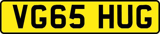 VG65HUG