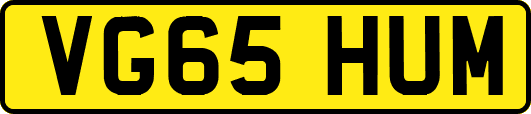 VG65HUM