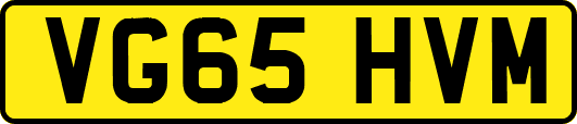 VG65HVM