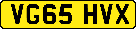 VG65HVX