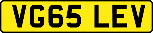 VG65LEV