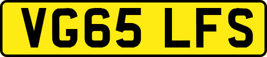 VG65LFS