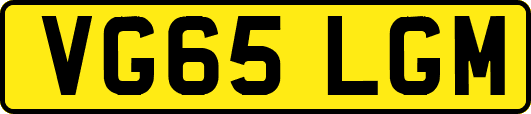 VG65LGM