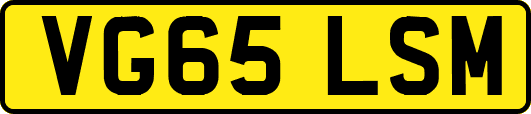 VG65LSM