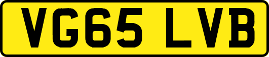 VG65LVB