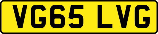 VG65LVG