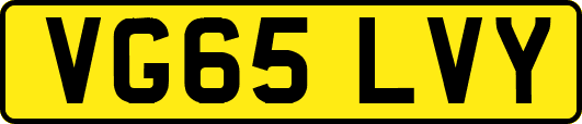 VG65LVY