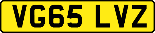 VG65LVZ