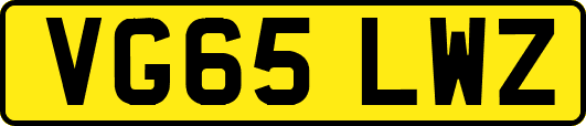 VG65LWZ