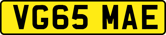 VG65MAE