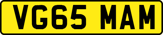 VG65MAM