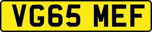 VG65MEF