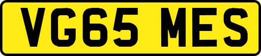 VG65MES