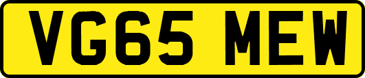 VG65MEW