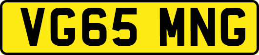 VG65MNG
