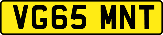VG65MNT