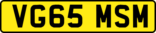 VG65MSM