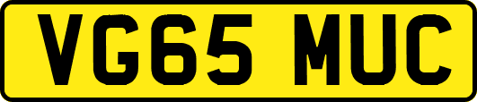 VG65MUC